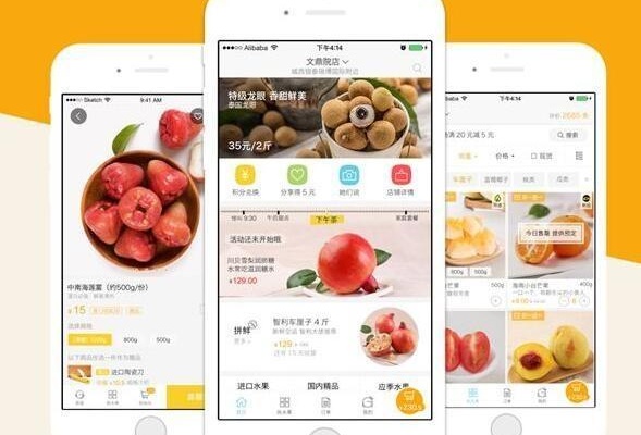 手機app開發用什么語言？